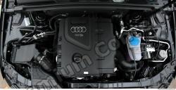 Photo Reference of Audi A4